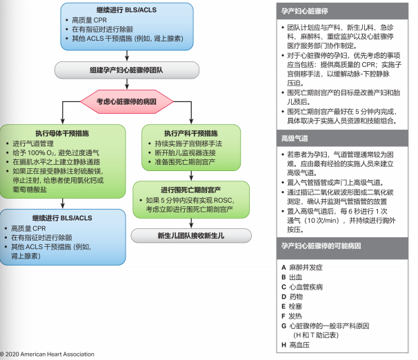 55-孕妇心脏骤停院内 ACLS 流程图。.png