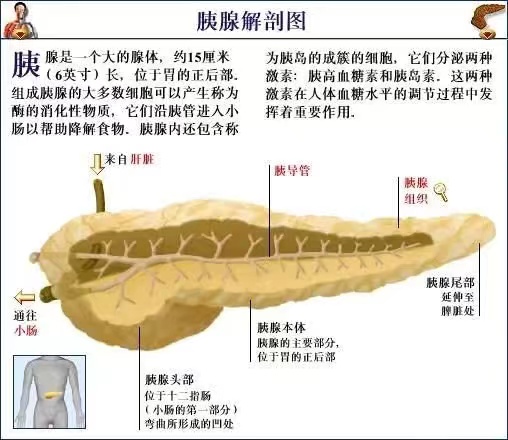 微信图片_20230403102437.jpg